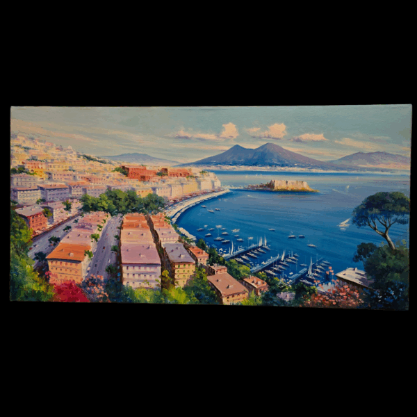1000437091 Panorama di Napoli - Giuseppe Iannicella