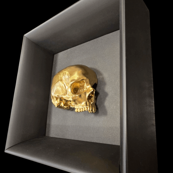 Dettaglio ravvicinato e angolato della scultura a forma di teschio umano con finitura oro, che evidenzia i riflessi e la tridimensionalità dell'opera.